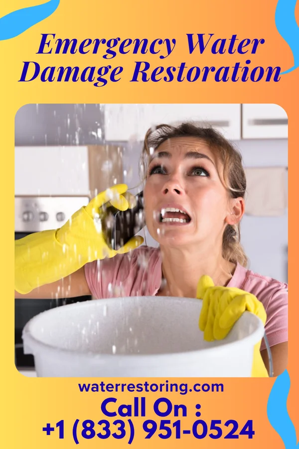 Emergency Water Damage Restoration in Sky Valley, GA