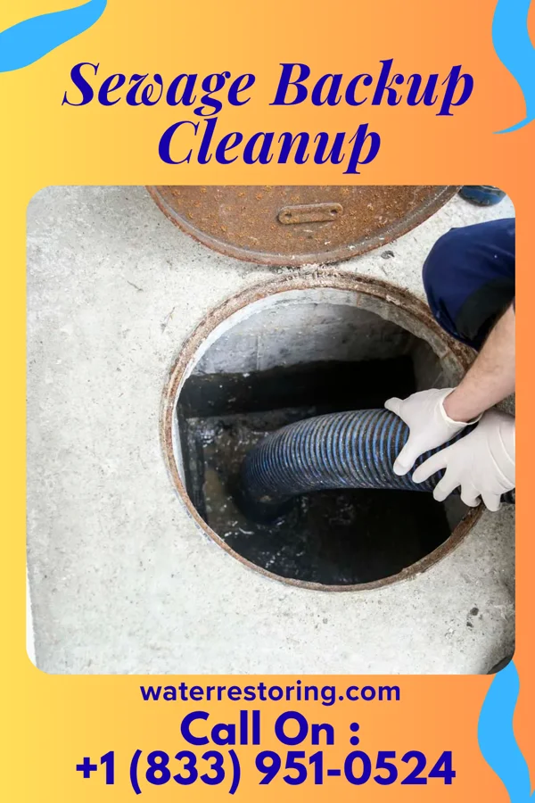 Sewage Backup Cleanup in Sky Valley, GA